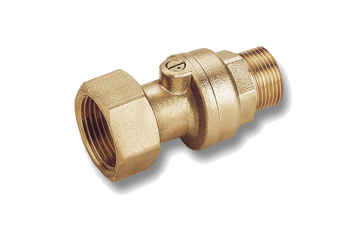 Special check valves 25