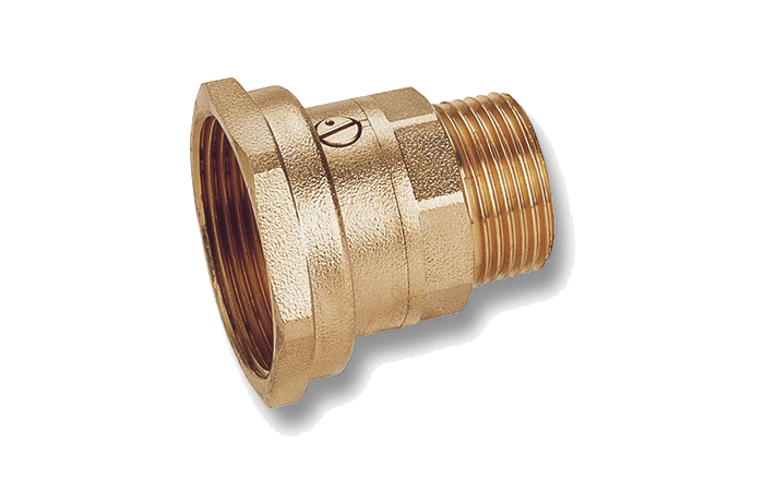 Special check valves 13