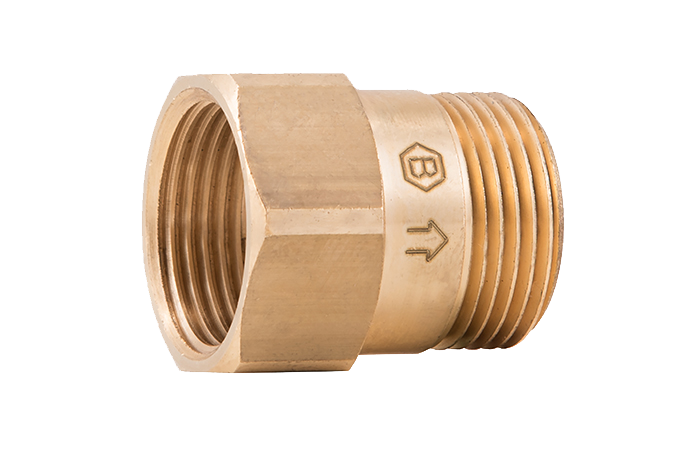 P33 Special check valves 1